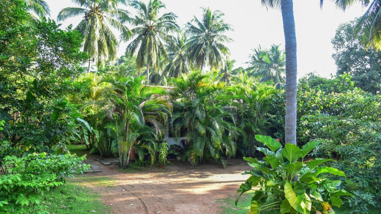 Sayare Inn Dambulla Exterior photo